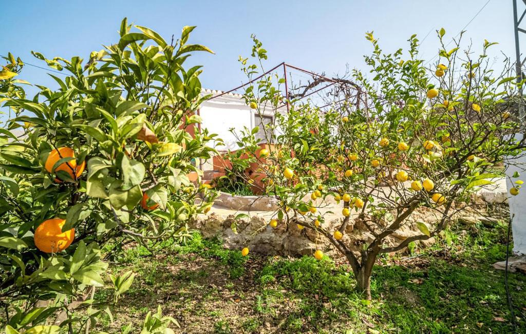 Casa Rural Antonio Y Esperanza Periana ภายนอก รูปภาพ