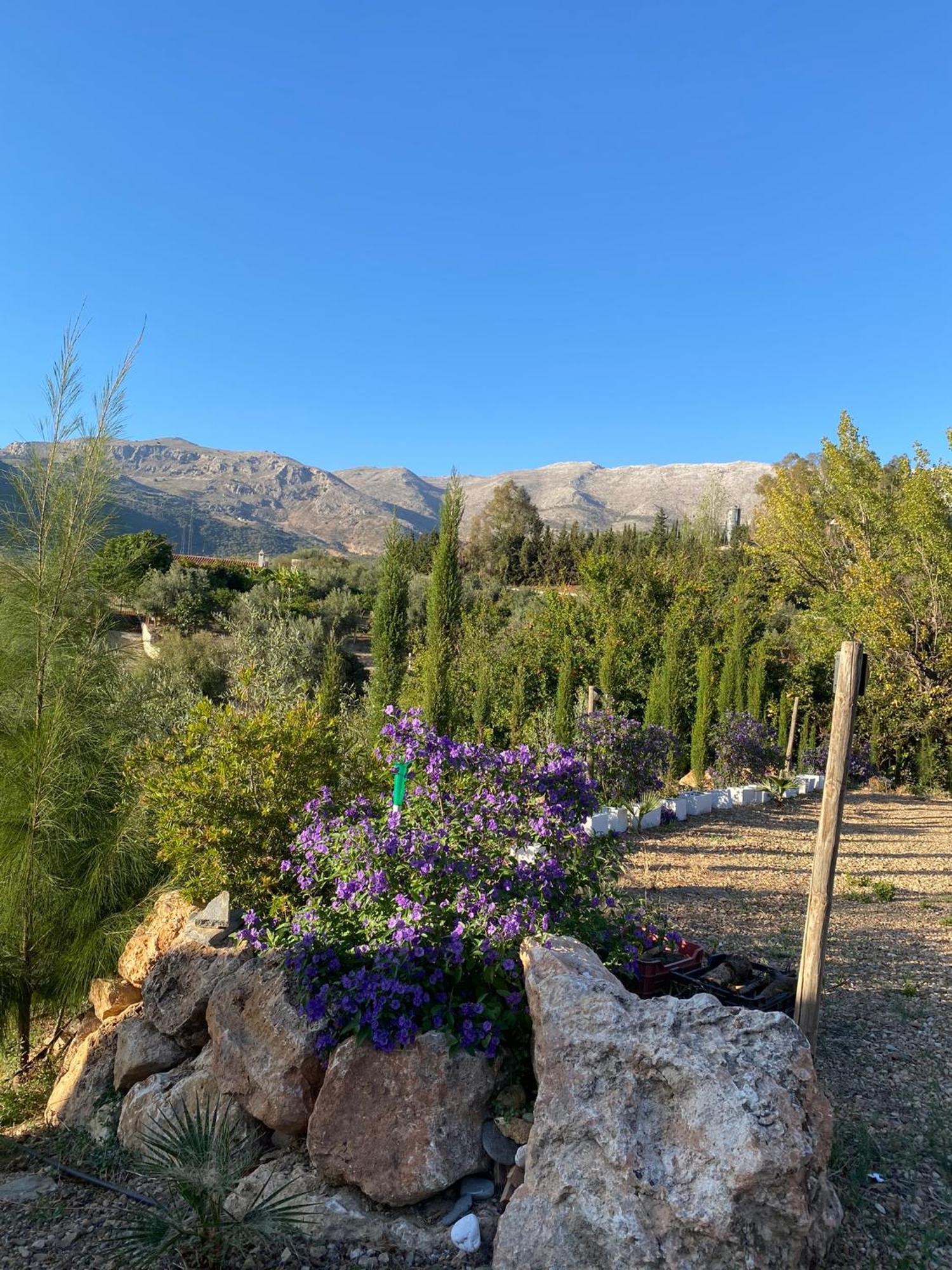 Casa Rural Antonio Y Esperanza Periana ภายนอก รูปภาพ